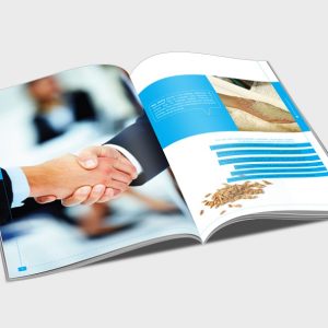 In Hồ Sơ Năng Lực Theo Yêu Cầu, Đẹp Chuyên Nghiệp Tại In Tín Phát