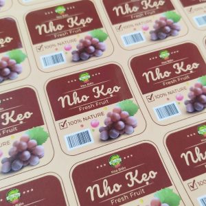 In Decal Nhựa Đục Giá Rẻ Tại Hà Nội – Bền Đẹp, Chống Nước, In Theo Yêu Cầu